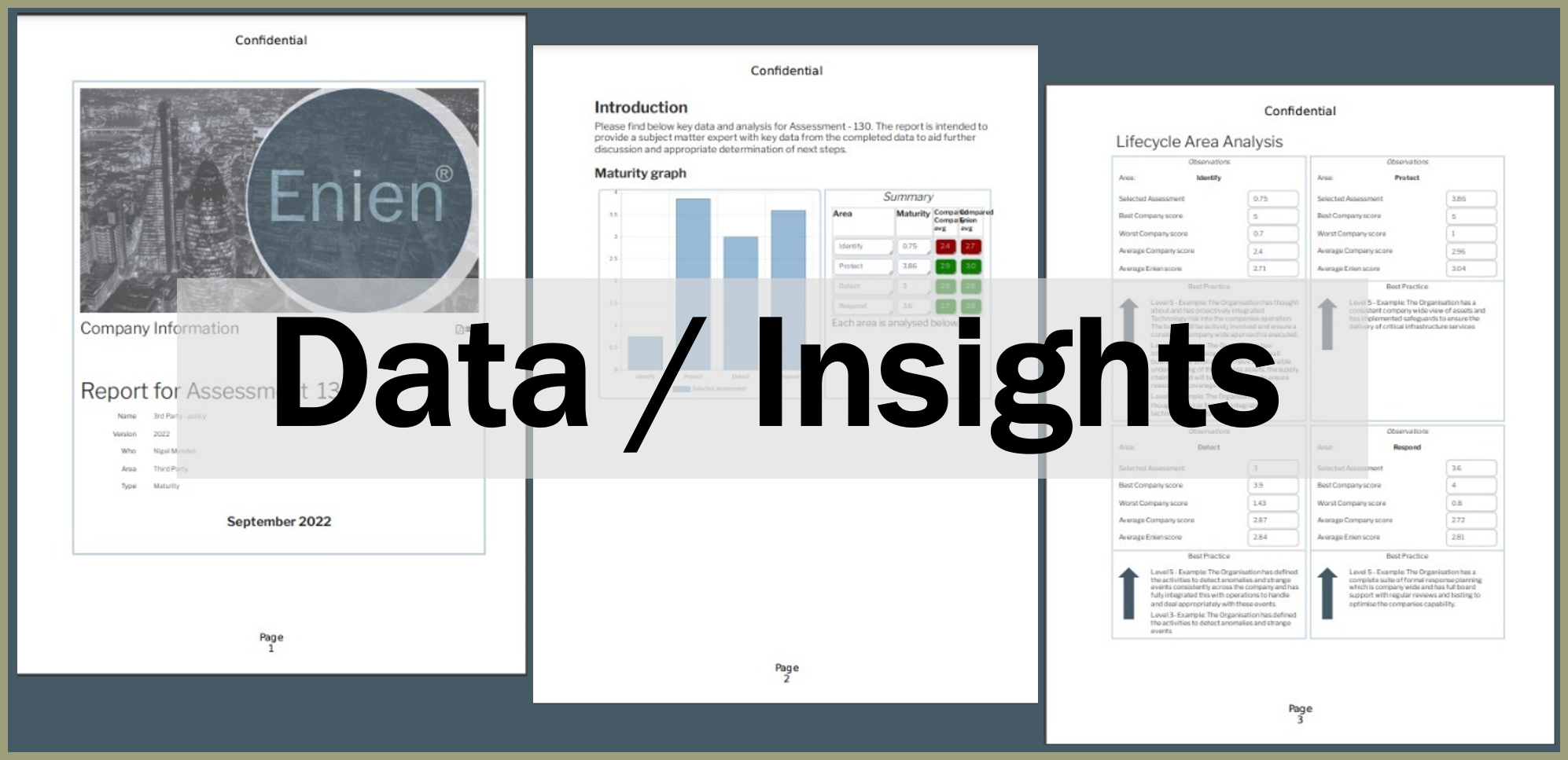 Enien data insights dashboard with charts and performance metrics