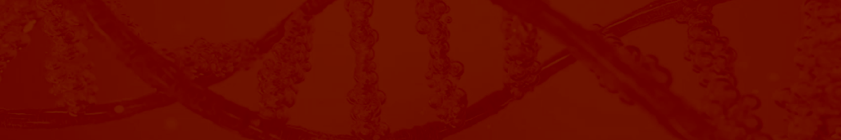 Enien provides services to embed regulation into an organisation.